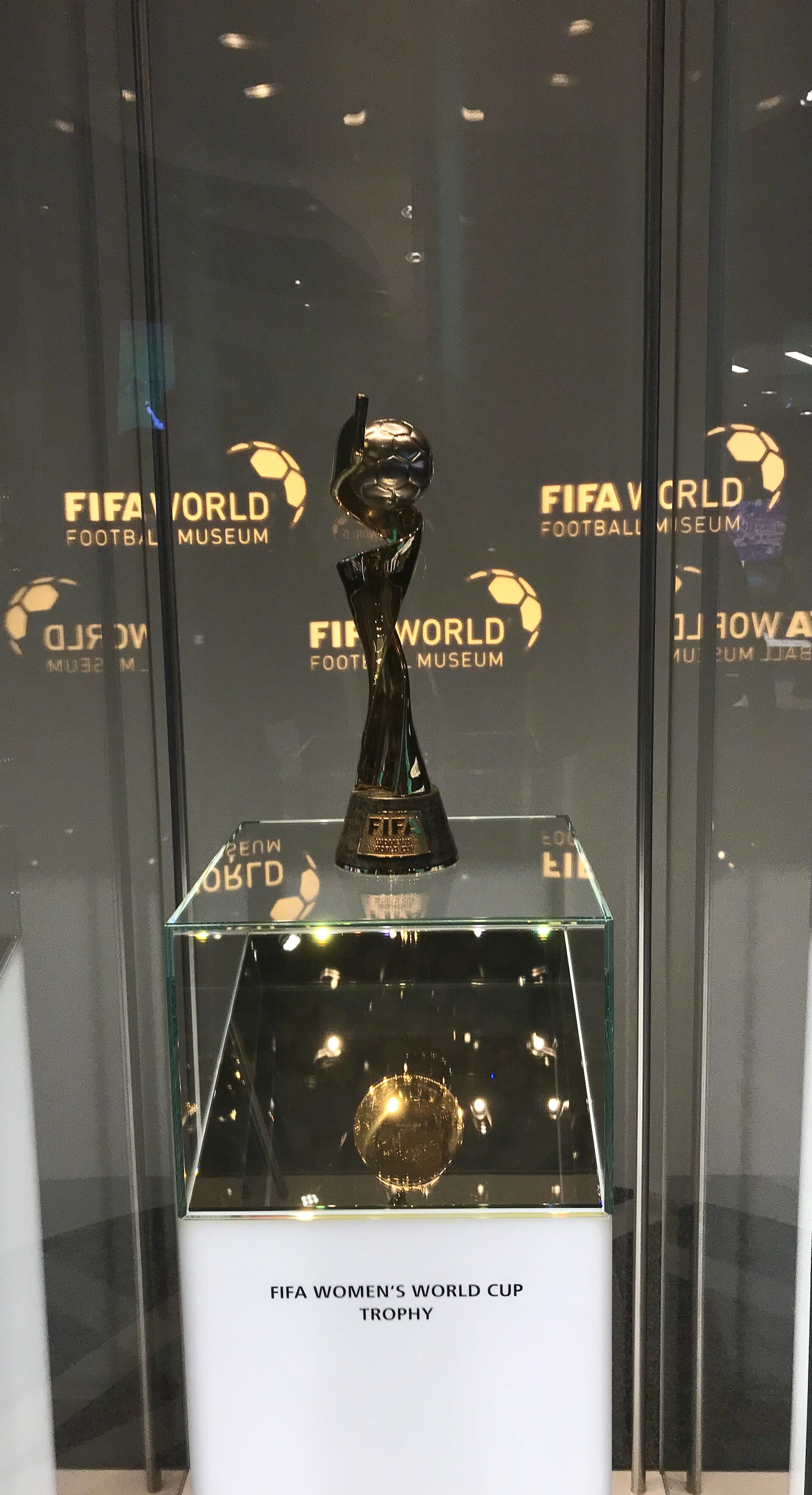 超级合约！专家：约基奇今夏可和掘金签3年2.14亿或4年2.78亿合同